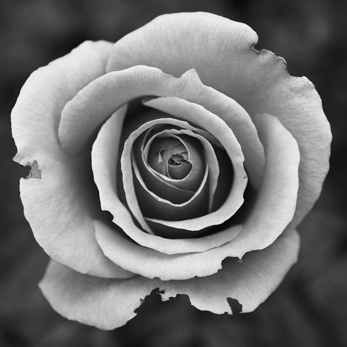 Portfolio 1