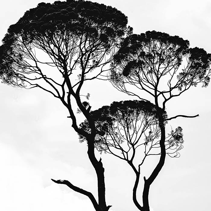 Portfolio 4