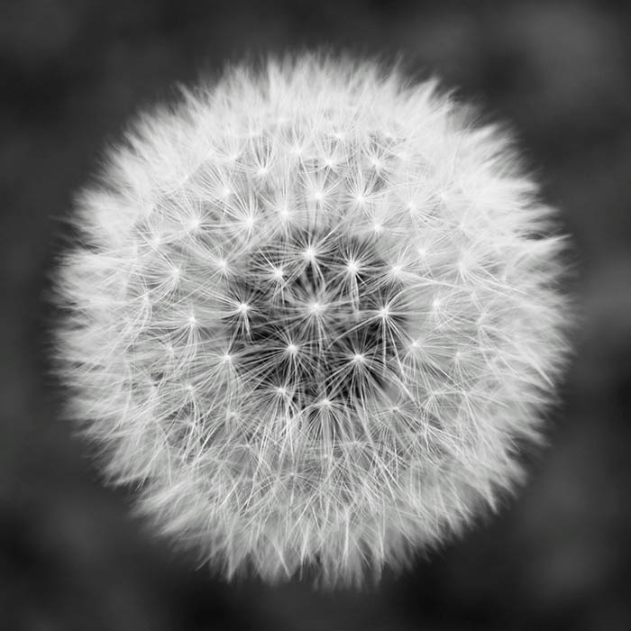 Portfolio 7